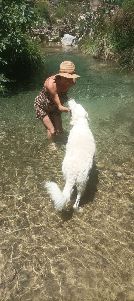 Onze geredde hond in de rivier